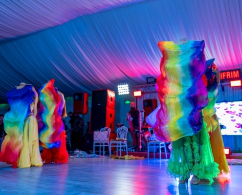 dans belly dance Trupa the Sky Iasi