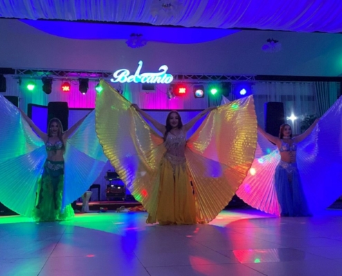 dans belly dance Trupa the Sky Iasi