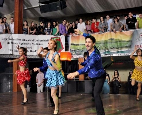 dans rock 'n' roll Trupa The Sky Iasi