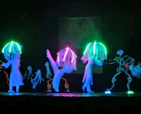 Costume cu lumini LED Trupa The Sky Iasi