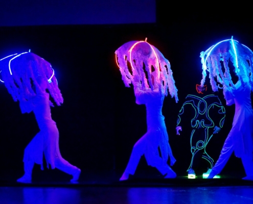 Costume cu lumini LED Trupa The Sky Iasi
